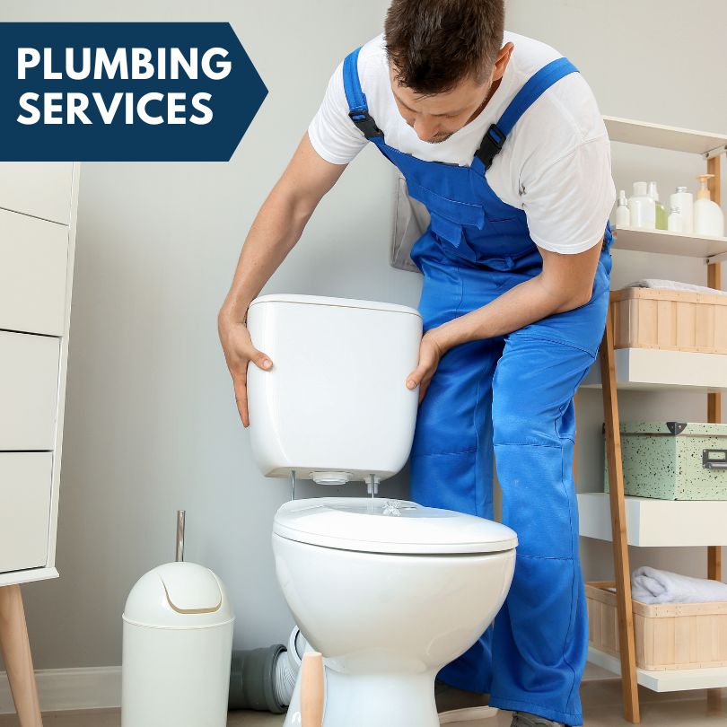 Plumbing Company in Lowland, NC