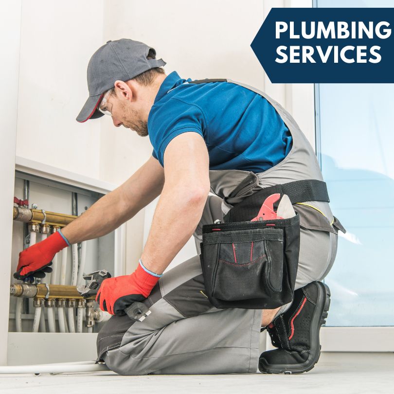Lowland Plumbing Company